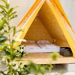 Ibis Styles The Fuzzy Log