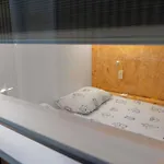 Ibis Styles The Fuzzy Log ليوبليانا