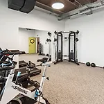 Ibis Styles The Fuzzy Log *