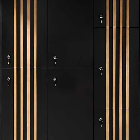 Ibis Styles The Fuzzy Log