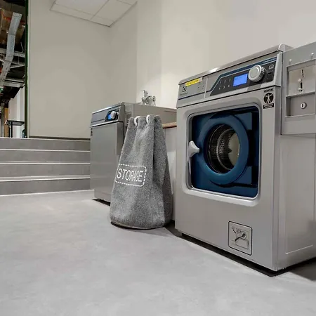 Ibis Styles The Fuzzy Log 호스텔 *