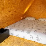 Hostel Ibis Styles The Fuzzy Log