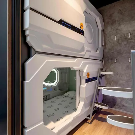 Ibis Styles The Fuzzy Log