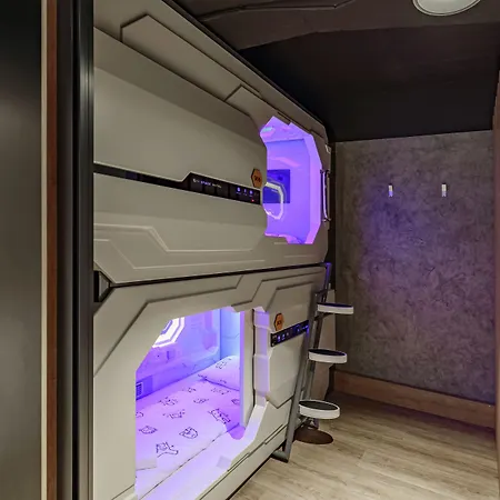 Hostel Ibis Styles The Fuzzy Log *